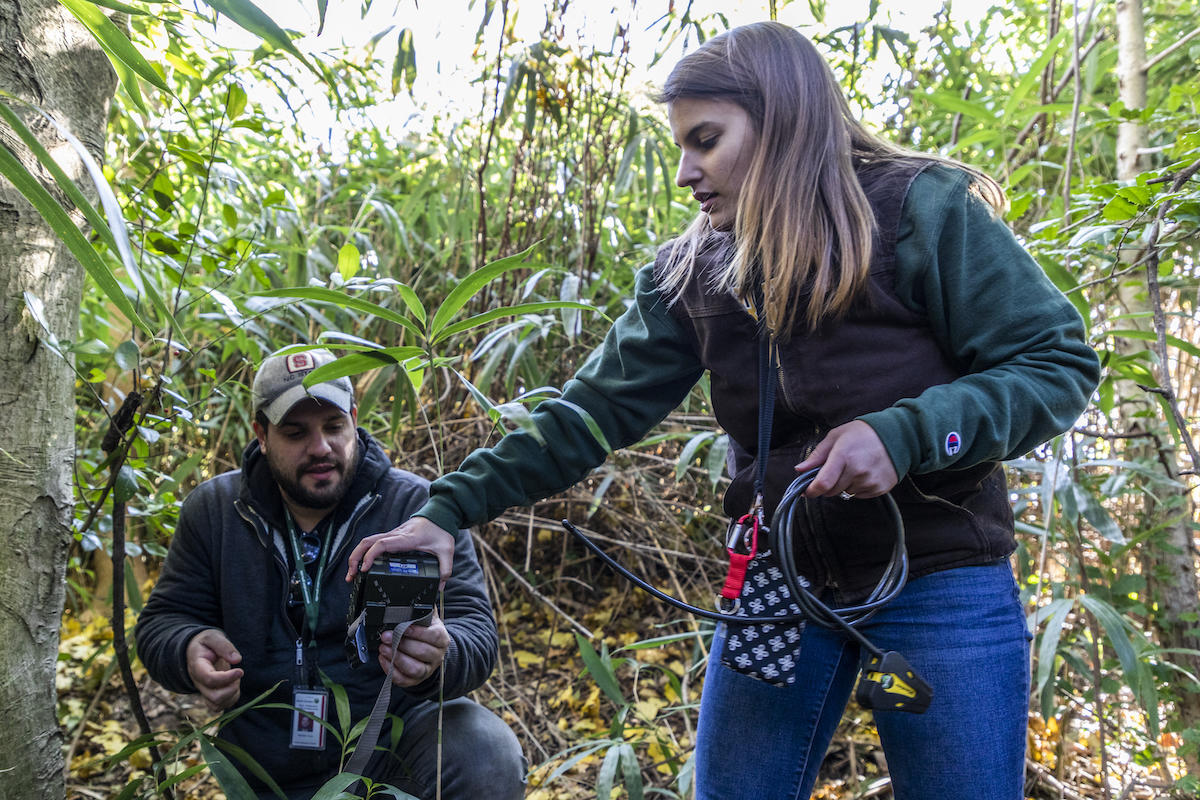 Senior Jamie Fetherolf (right) and Smithsonian Post Doctoral Research Fellow Michael Cove place a camera trap at the Smithsonian's National Zoo. Fetherolf is standing and reaching her right hand out to give Cove the camera trap. Cove is crouched down on one foot and one knee on the ground.