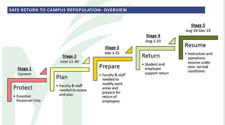 graphic of Mason's first five return to campus stages