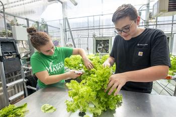 students work in the greenhouse