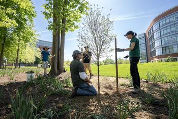 students helping Facilities plant trees